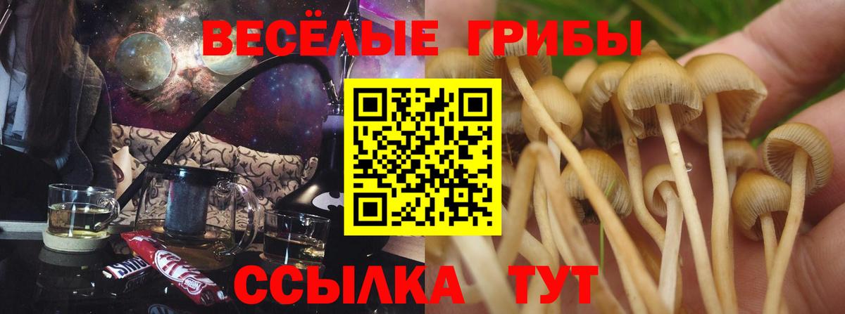 Псилоцибиновые грибы MAGIC MUSHROOMS  Вход с VPN  Белебей 