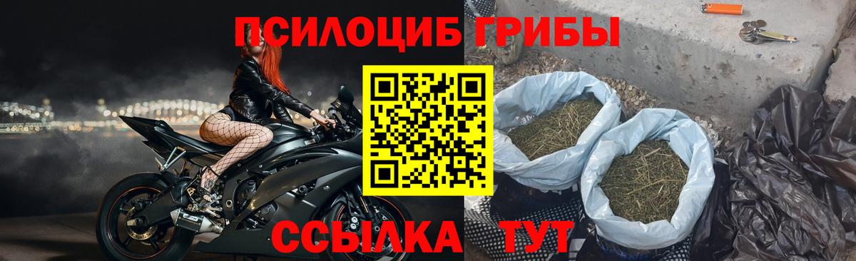 Псилоцибиновые грибы мухоморы Белебей